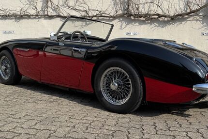 Austin Healey Andere 26.500 km 41.000 &euro; speyer 67346