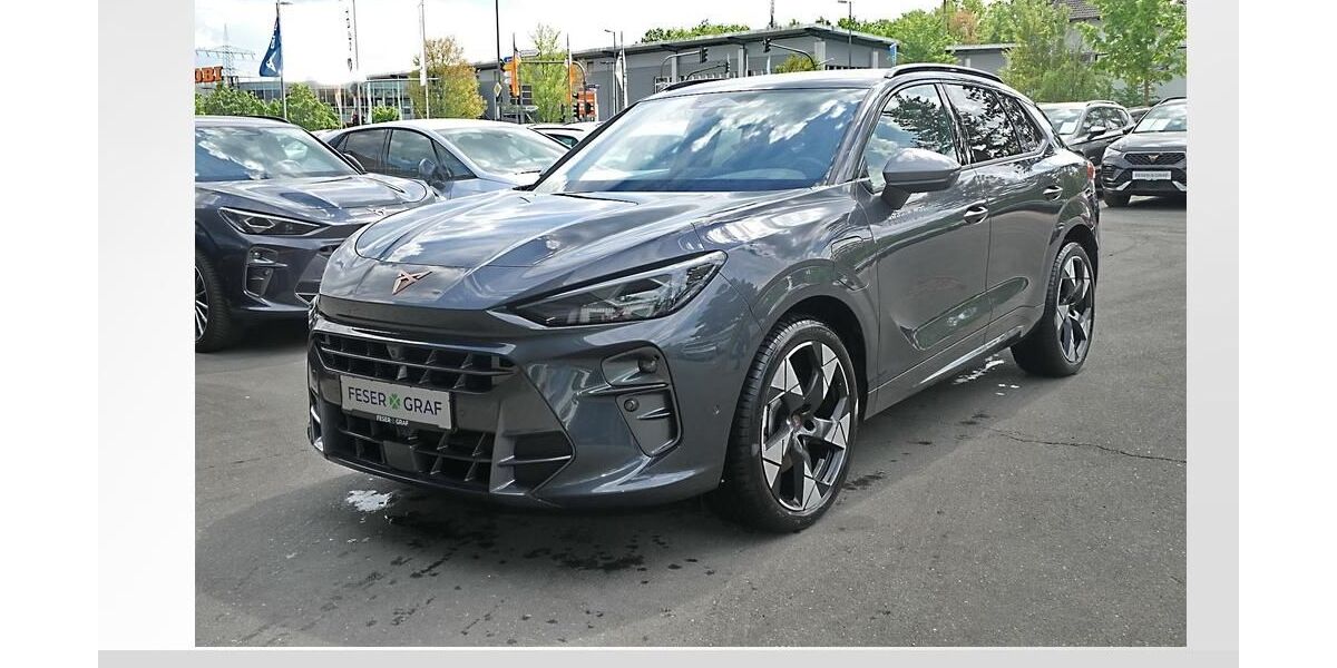 Cupra Terramar 13.450 km 39.880 &euro; Erlangen 91056