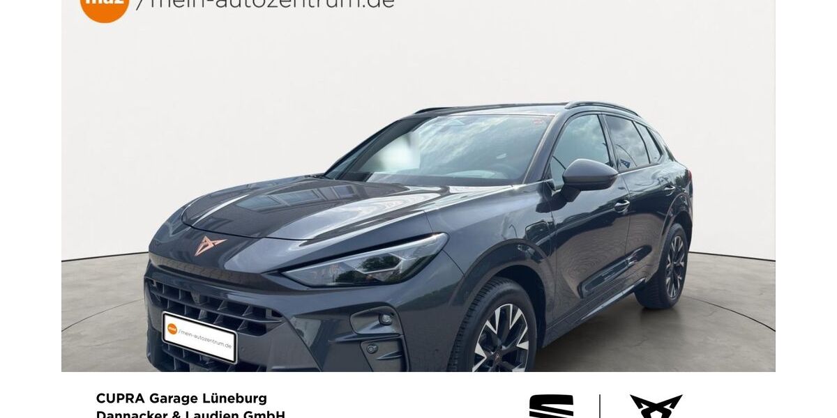 Cupra Terramar 21.117 km 38.970 &euro; Lüneburg 21337