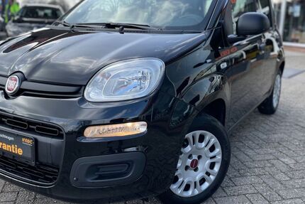 Fiat Panda 82.500 km 7.900 &euro; Geeste-Dalum 49744