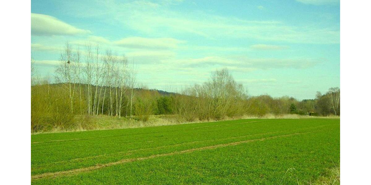 Grundstück Brombach (Haundorf) Brombach - 190.000&euro; | Angebot:26265971