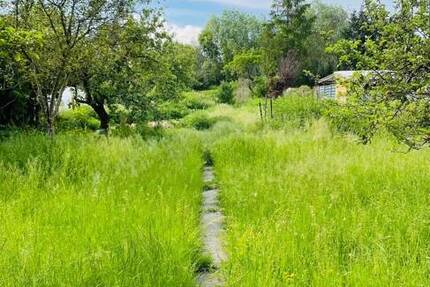 *Großzügiges Baugrundstück in herrlicher Lage* zimmer