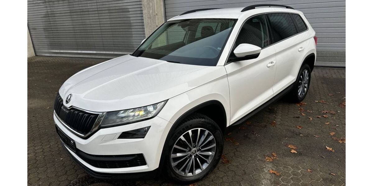 Skoda Kodiaq 115.000 km 22.495 &euro; Norderstedt bei Hamburg 22844