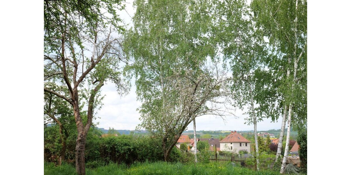 Provisionsfrei* Zwischen Blauberg und Garten - Einfamilienhaus Kreischa | Angebot:26116135