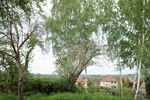 Provisionsfrei* Zwischen Blauberg und Garten - Einfamilienhaus Kreischa | Angebot:26116135