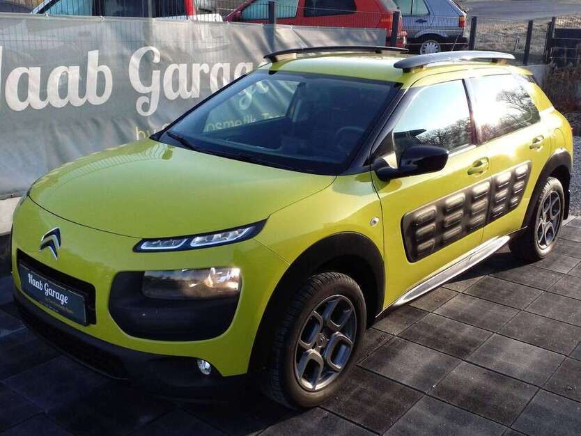 C4 Cactus