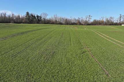 Grundstück Möllenhagen - 350.000&euro; | Angebot:20248340