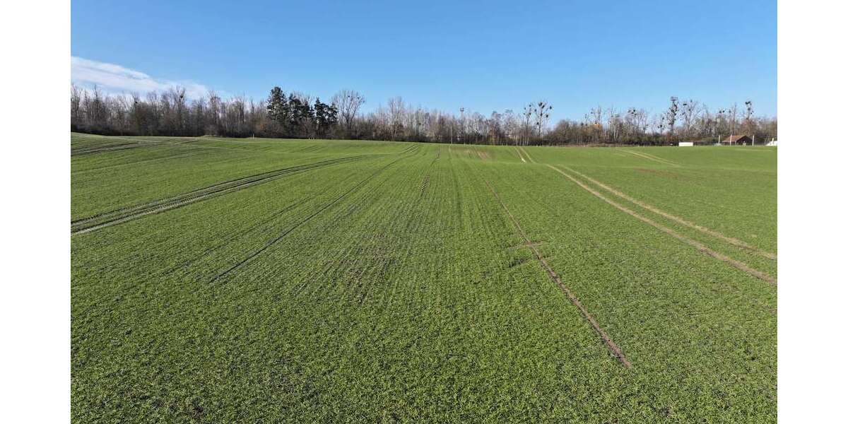 Grundstück Möllenhagen - 350.000&euro; | Angebot:20248340