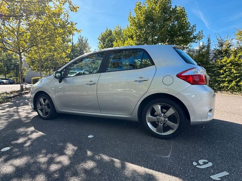 Auris