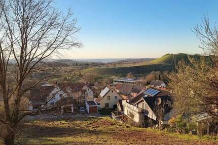 Grundstück zu verkaufen in Sternenfels 273.240 € 1012 m² zimmer
