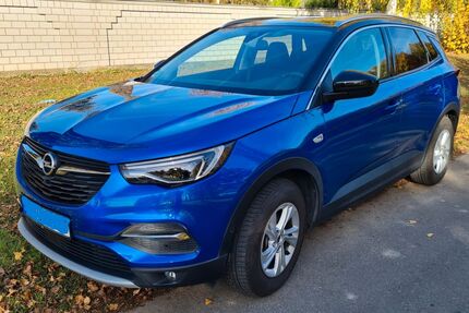 Opel Grandland (X) 19.500 km 23.900 &euro; Gross Gerau 64521