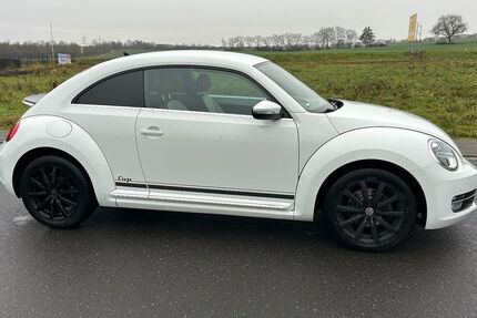 VW Beetle 81.232 km 9.999 &euro; Sankt Johann 56727