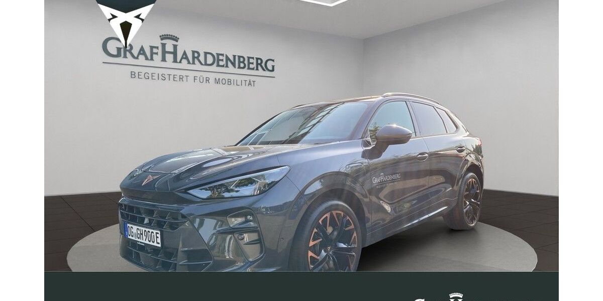 Cupra Terramar 17.500 km 50.990 &euro; Offenburg 77652