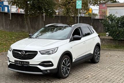 Opel Grandland (X) 12.500 km 25.900 € Worms 67547