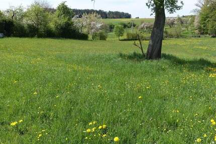 Grundstück Feuchtwangen Steinbach - 95.000&euro; | Angebot:24698182