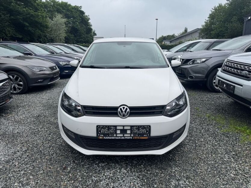 Polo