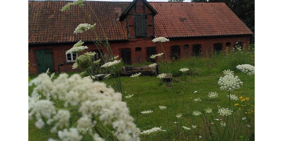 Bauernhaus, Landhaus Scharnebeck - 3 Zimmer, 430 m&sup2;, 570.000&euro; | Angebot:27056361