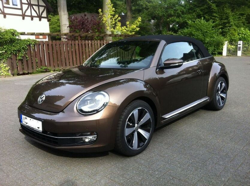 Beetle