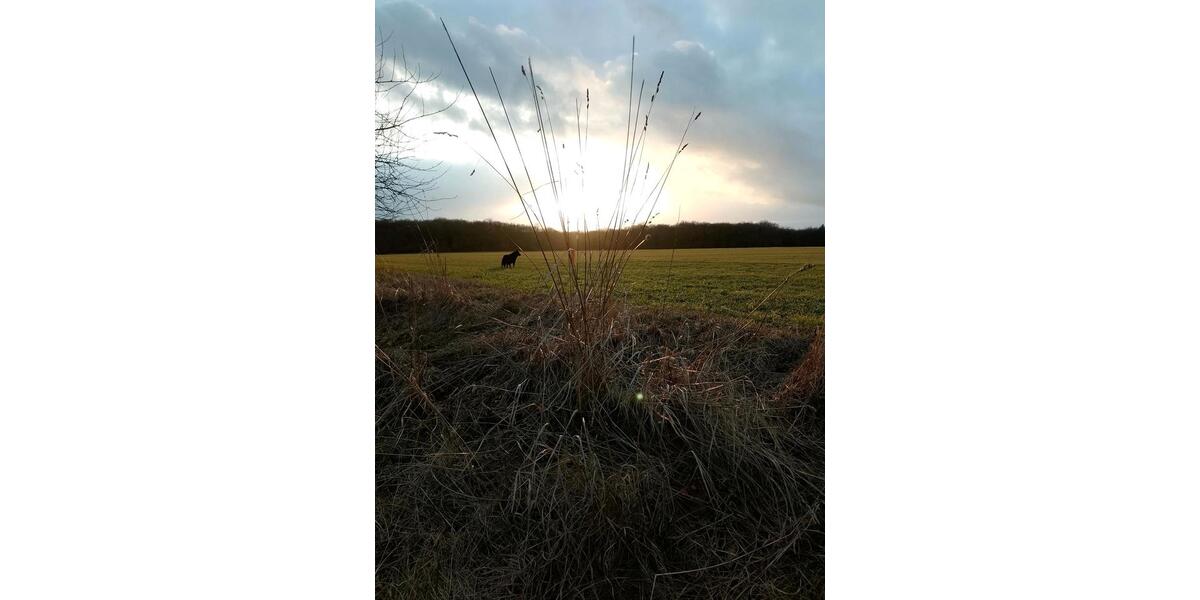 Mehrfamilienhaus, Wohnhaus Bad Bibra - 4 Zimmer, 90 m&sup2;, 500&euro; | Angebot:25791423