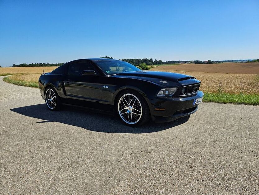 Mustang