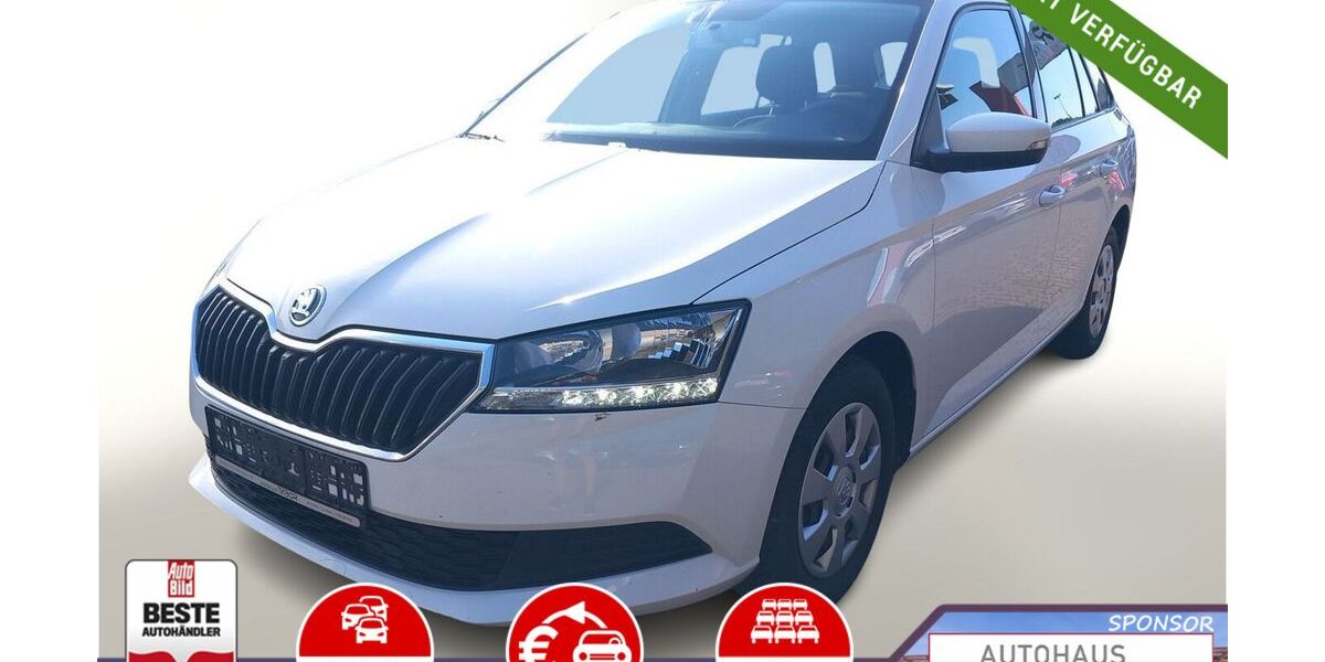 Skoda Fabia 109.950 km 9.288 &euro; Kehl 77694