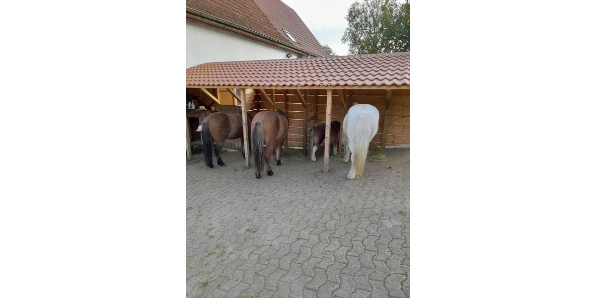 Bauernhaus, Landhaus Stockach - 6 Zimmer, 170 m&sup2;, 930.000&euro; | Angebot:25142462