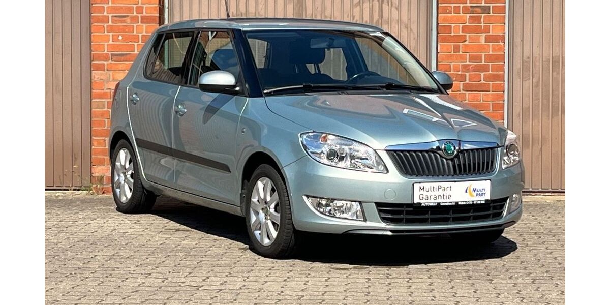 Skoda Fabia 85.000 km 5.750 &euro; Geesthacht (bei Hamburg) 21502