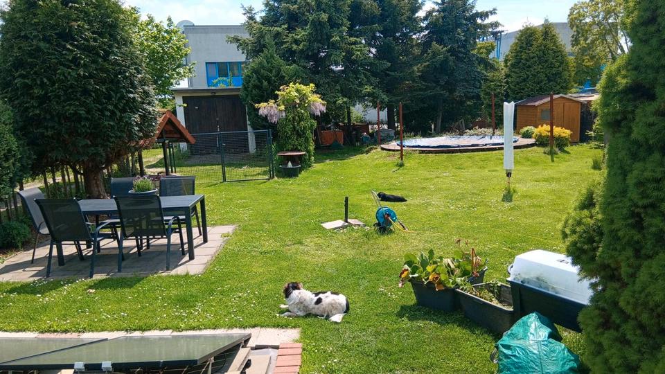 Wochenendgrundstück Markranstädt 2 zimmer