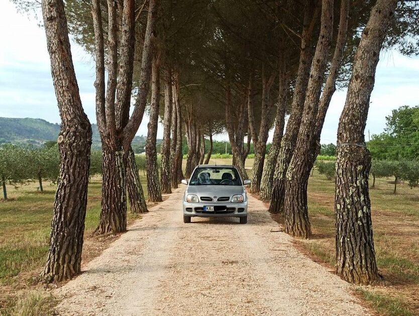Micra