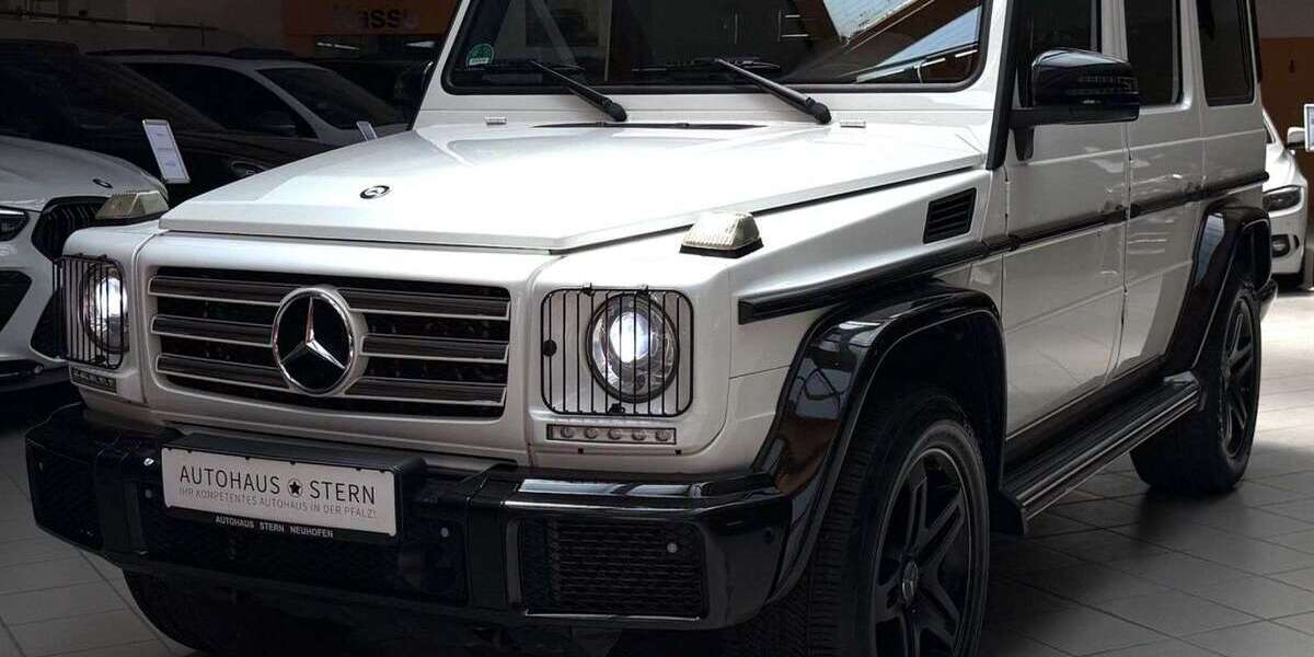 Mercedes-Benz G 350 169.500 km 54.990 &euro; Mutterstadt 67112
