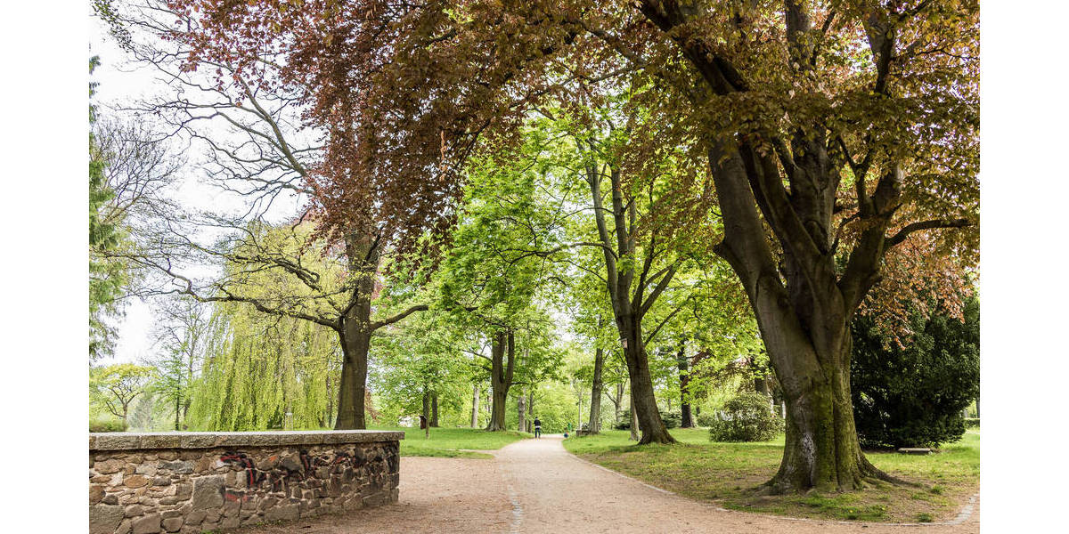 Zimmer Löbau Altlöbau - 2 Zimmer, 76 m&sup2;, 456&euro; | Angebot:26319645