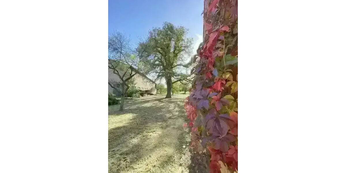 Bauernhaus, Landhaus Gardelegen Jävenitz - 239.000&euro; | Angebot:26308953