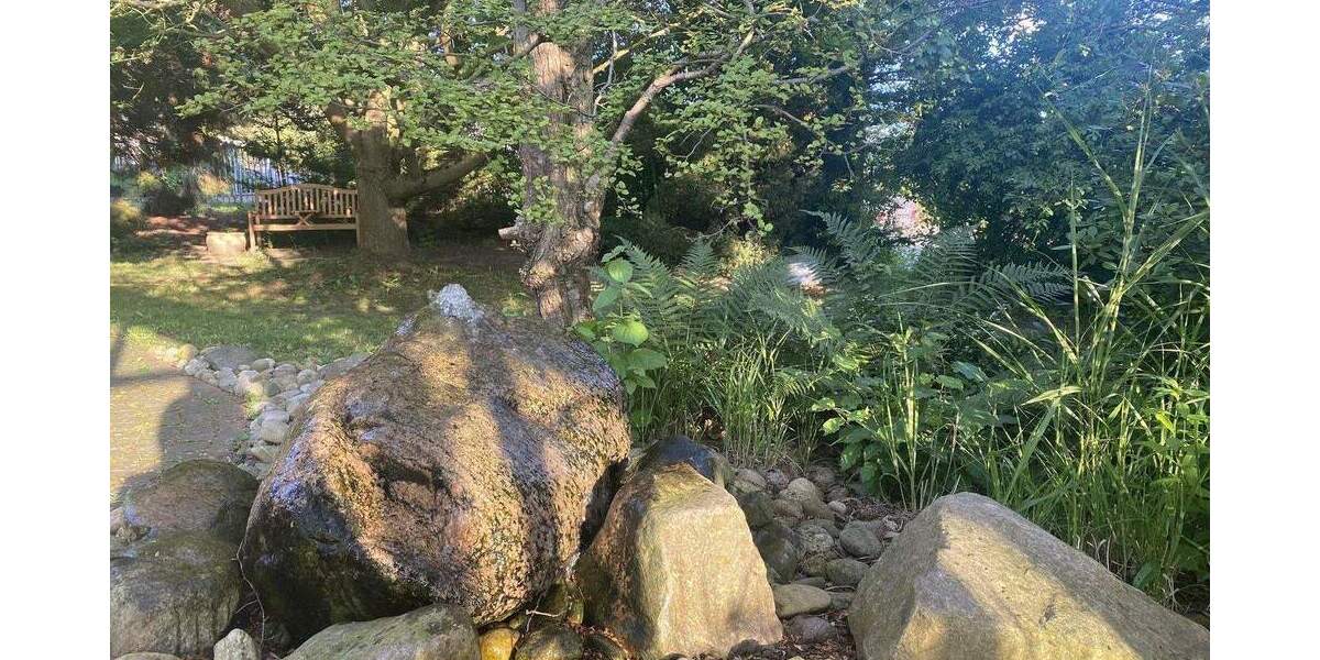 Wohnen und Arbeiten auf einem Grundstück! zimmer