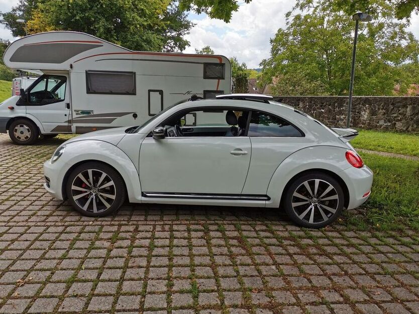 Beetle