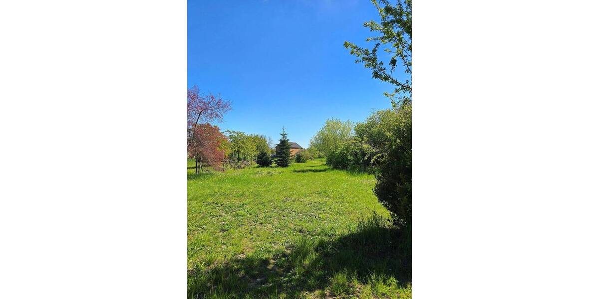 Einfamilienhaus Osternienburger Land Dornbock - 138.000&euro; | Angebot:26885870