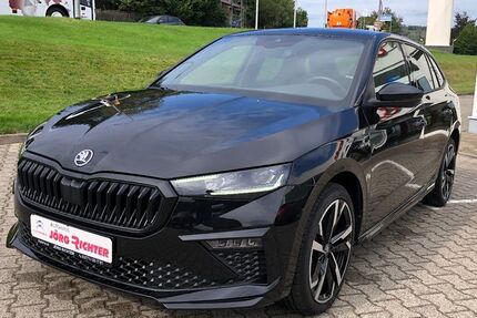 Skoda Scala 9.900 km 24.690 &euro; Lauter-Bernsbach 08315