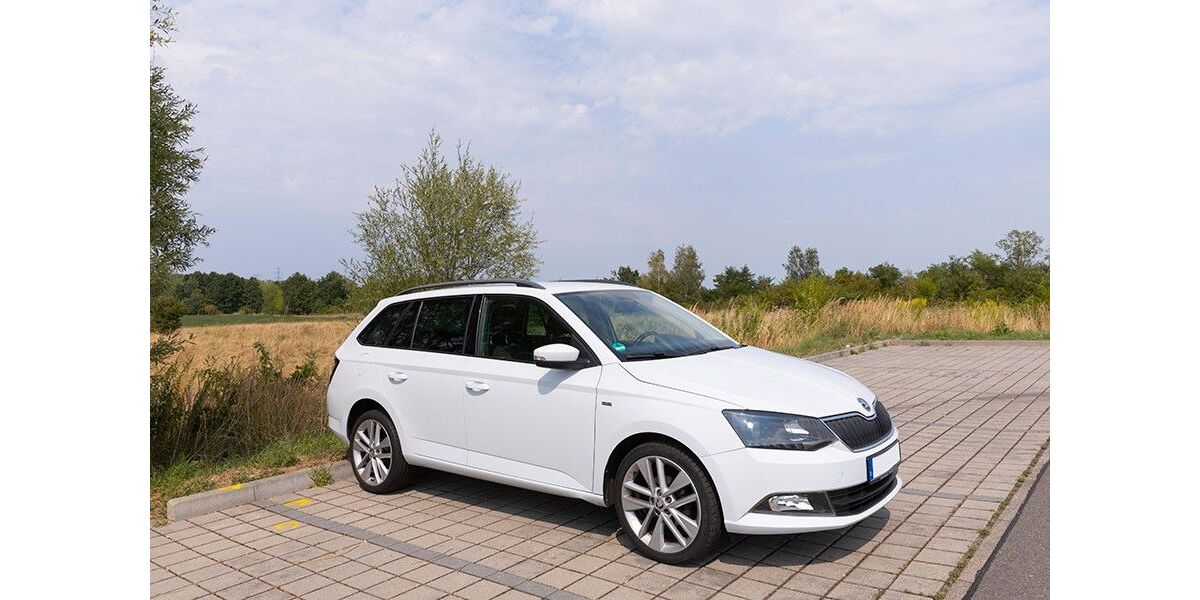 Skoda Fabia 119.500 km 9.200 &euro; Frohburg 04654