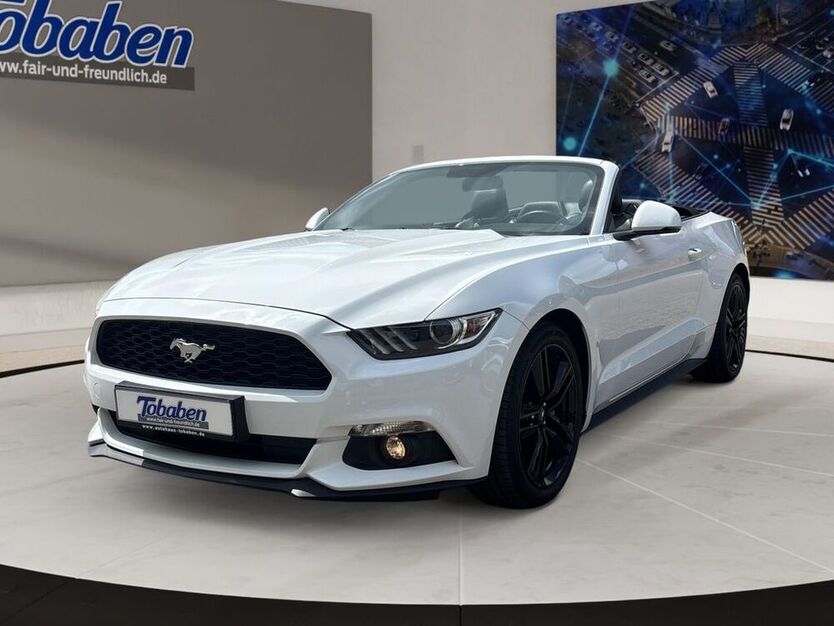 Mustang