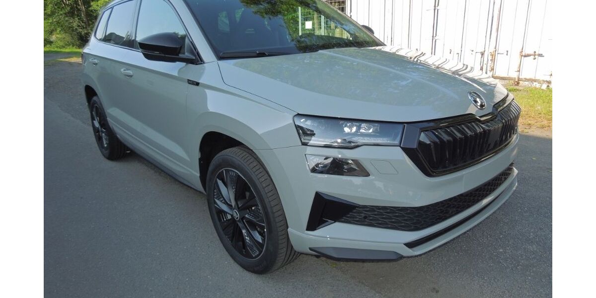 Skoda Karoq 19.000 km 34.565 &euro; Föritztal OT Neuhaus-Schierschnitz 96524