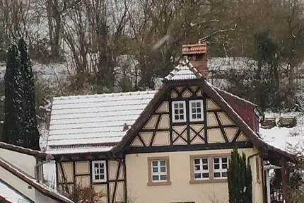 Architekten-Landhaus mit Naturgarten - ruhig, individuell & gut angebunden (Rhein-Main) 4 zimmer
