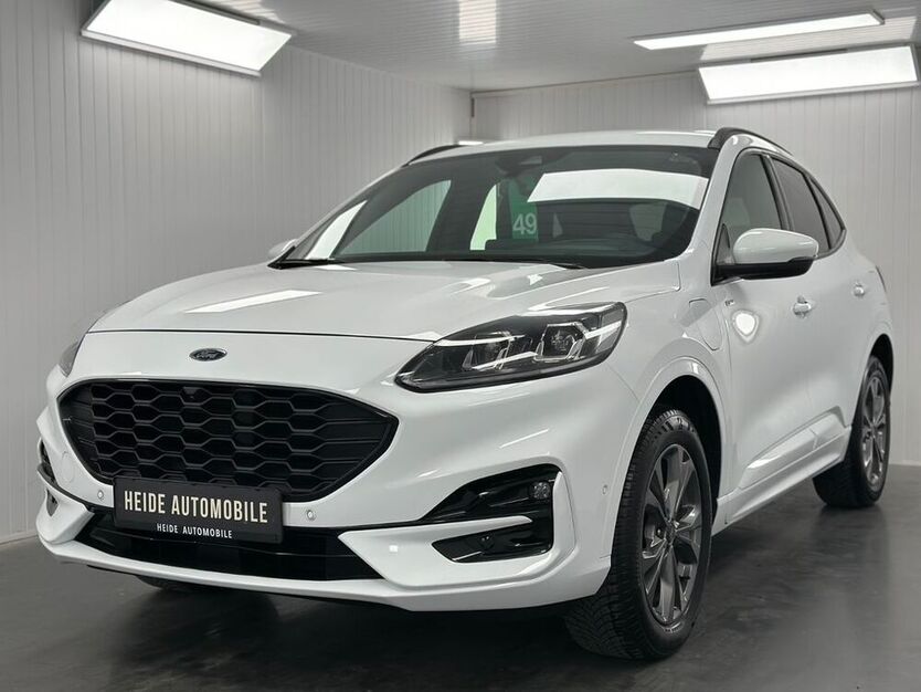 Kuga