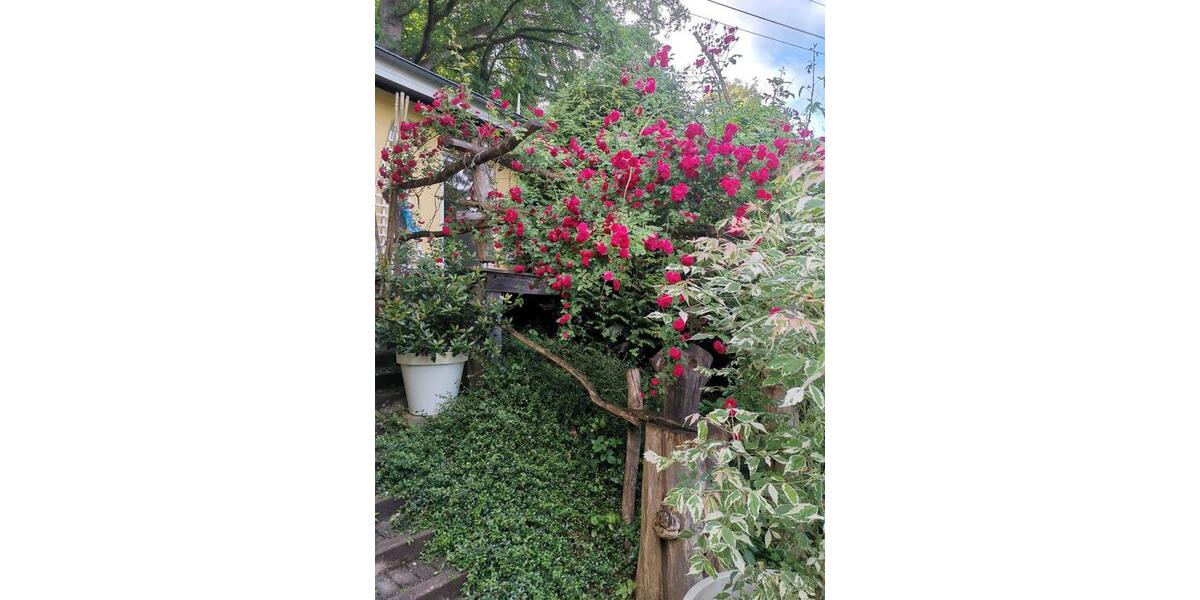 Einfamilienhaus Sankt Wendel - 3 Zimmer, 156 m&sup2;, 270.000&euro; | Angebot:27030273