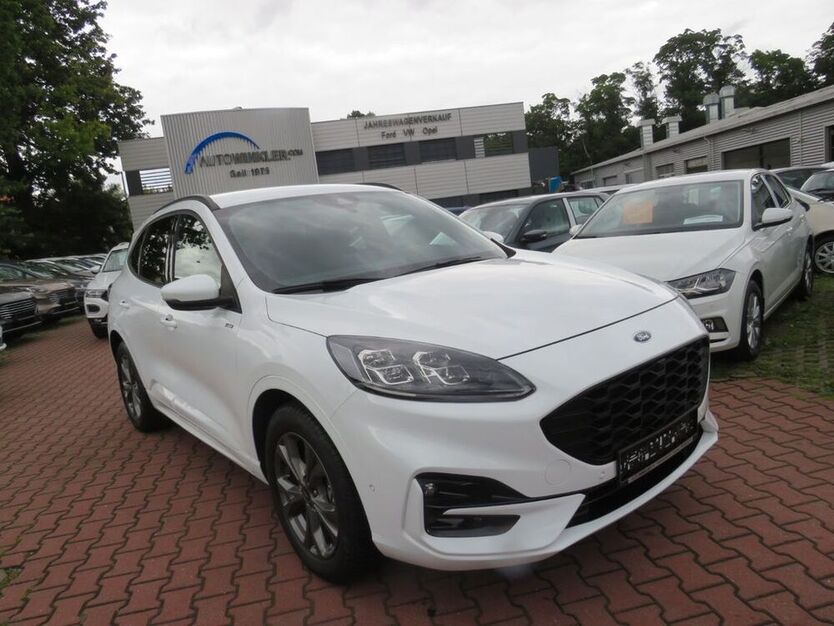 Kuga