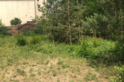 Gewerbeobjekt Nuthetal - 1.000&euro; | Angebot:25960727