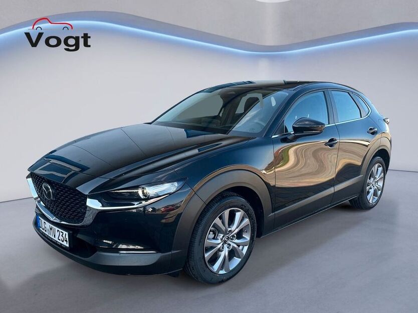 CX-30