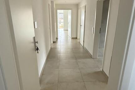 Wohnung zur Miete in Winkel ab sofort WG möglich 1 zimmer