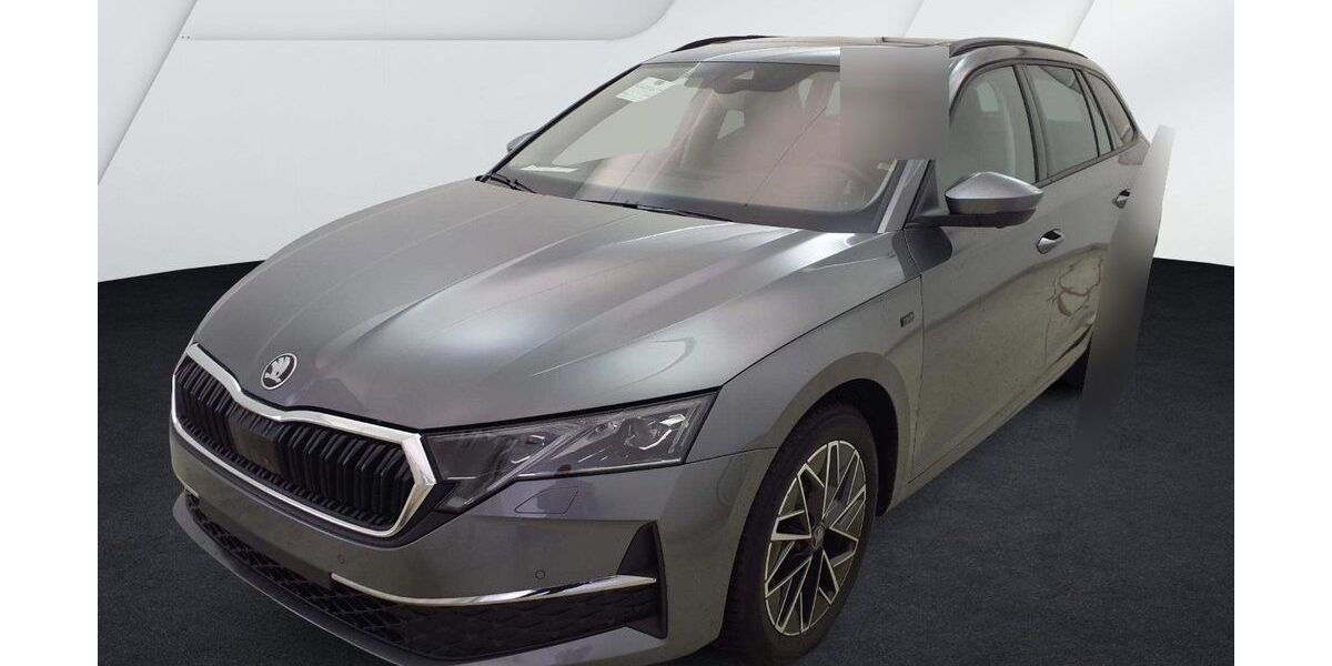 Skoda Octavia 19.791 km 31.930 &euro; Durmersheim 76448