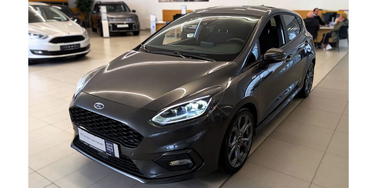 Ford Fiesta 33.000 km 16.690 € Landau 76829