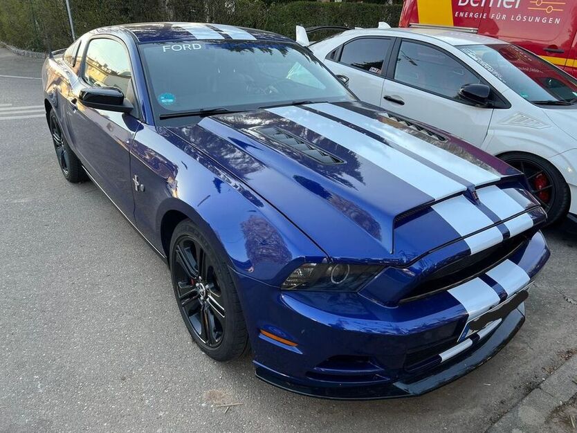 Mustang
