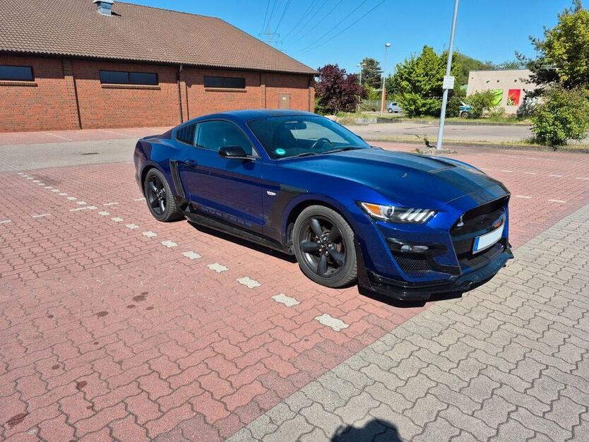 Mustang